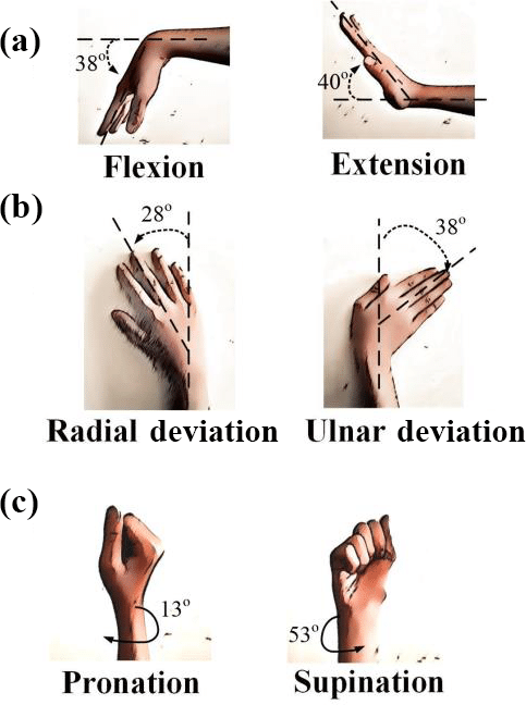Hand mobility exercise