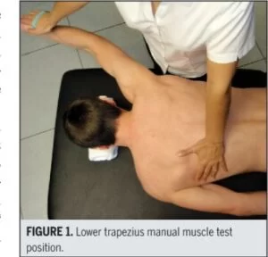 lower Trapezius muscle weakness