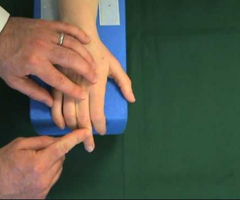 Special test for the tendon & muscle of wrist joint.