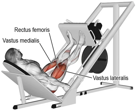 radiator Grit sociaal Leg Press Exercise: Muscle worked, Health Benefits, How to Do?