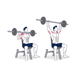 Seated Barbell Overhead-Press exercise