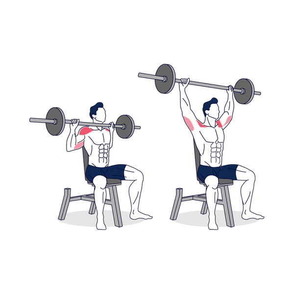 Overhead press exercise: Muscle worked, Health Benefits, How to Do?