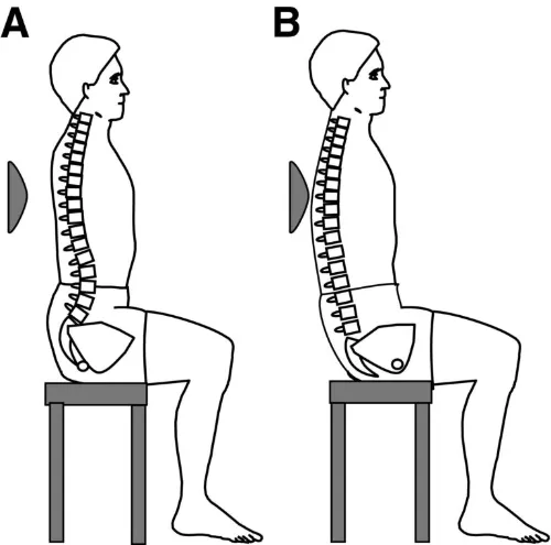 Seated Pelvic Tilts