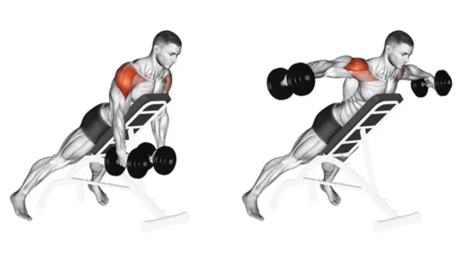 Incline Reverse Lateral Dumbbell Raise
