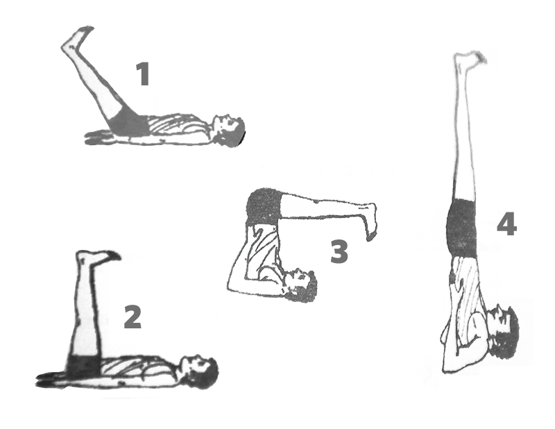 Sarvangasana - Shoulder Stand Pose benefits
