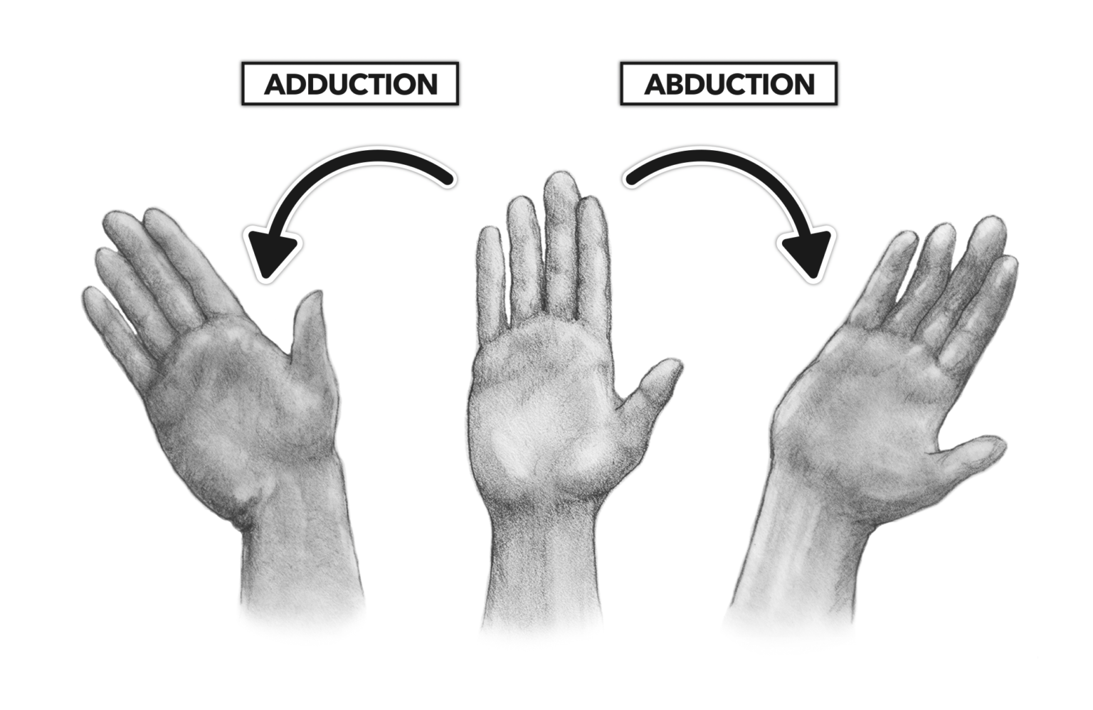 Wrist Exercises: Health Benefits, How to do ?-Variation