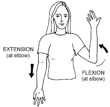 Active Elbow Range of Motion