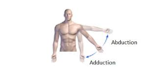 Shoulder Abduction And Adduction