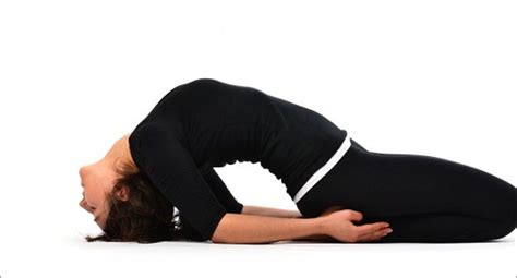 10 Easy Steps to Salamba Sarvangasana - Supported Shoulderstand — Mudita  Yoga Studio