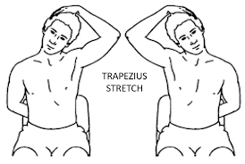 trapezius stretch