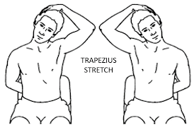 Trapezius Muscle Pain Cause Treatment Exercise Mobile Physio Trapezius Muscle Pain Cause Treatment Exercise Mobile Physio