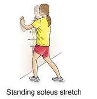 Standing soleus stretch