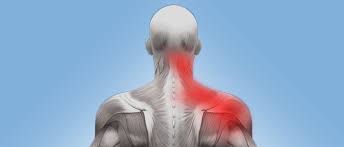neck pain to shoulder