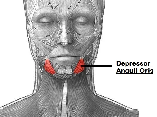 Depressor anguli oris muscle