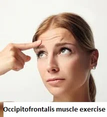 Occipitofrontalis muscle exercise