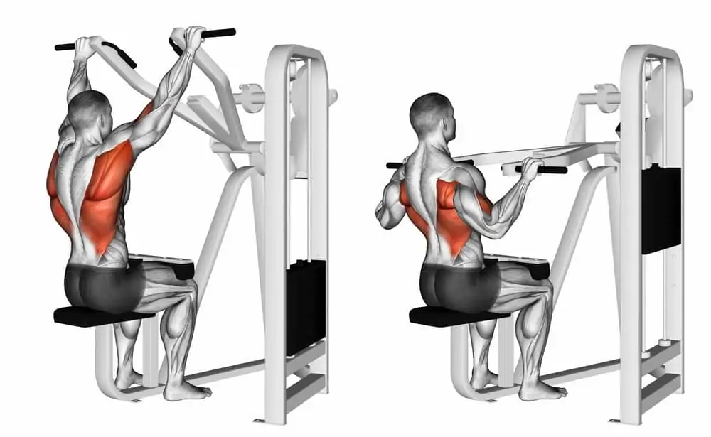 Lateral pulldowns behind the head
