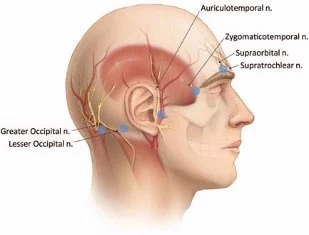 Zygomaticotemporal nerve
