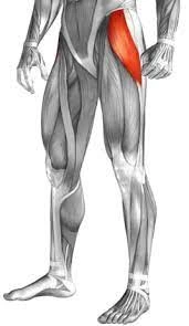 Tensor Fascia Latae (TFL) Muscle Pain