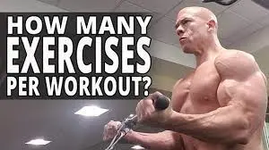 How many exercise we do per workout?