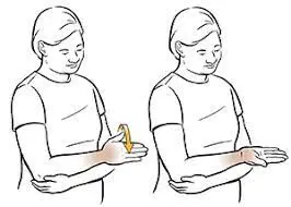 wrist supination and pronation