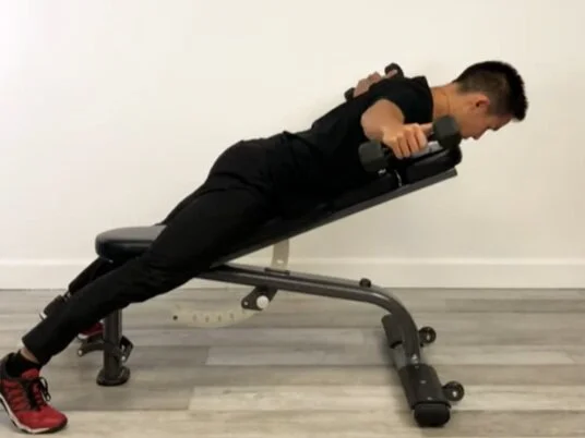Incline bench reverse fly