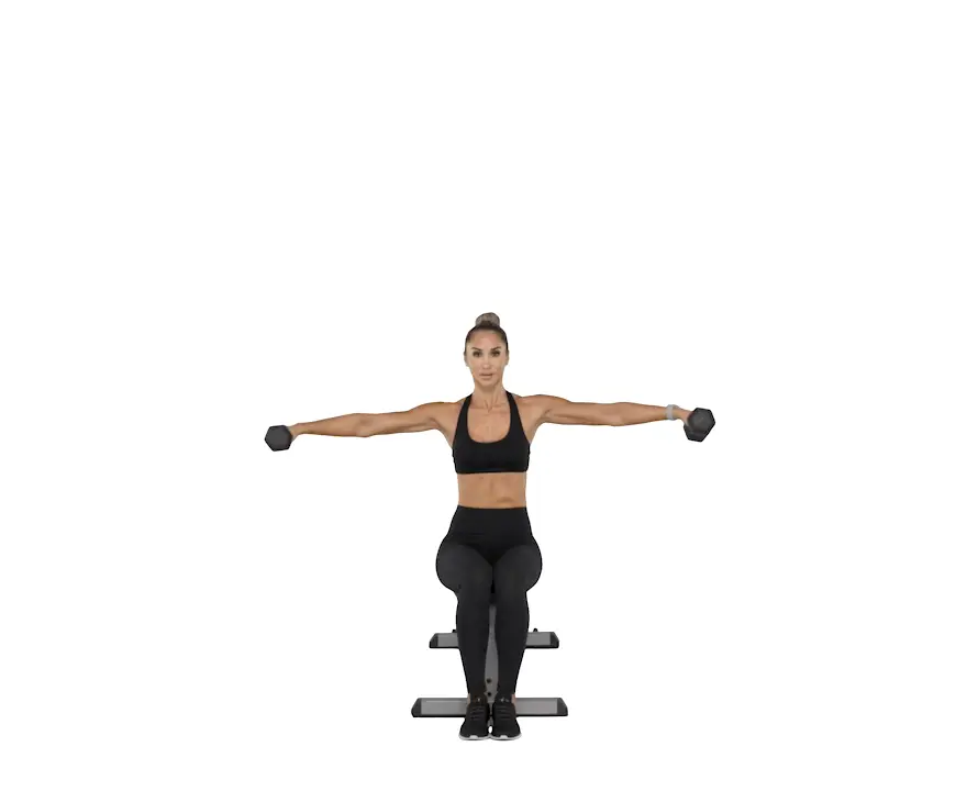 Seated lateral raise