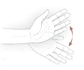 wrist-twisting-exercise
