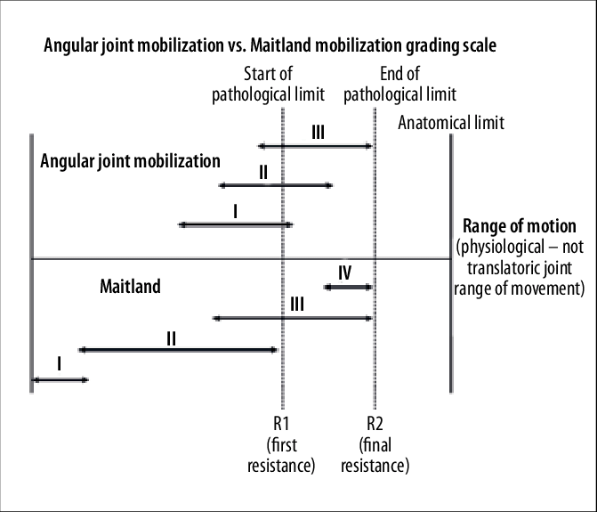 Grades-of-joint-mobilization