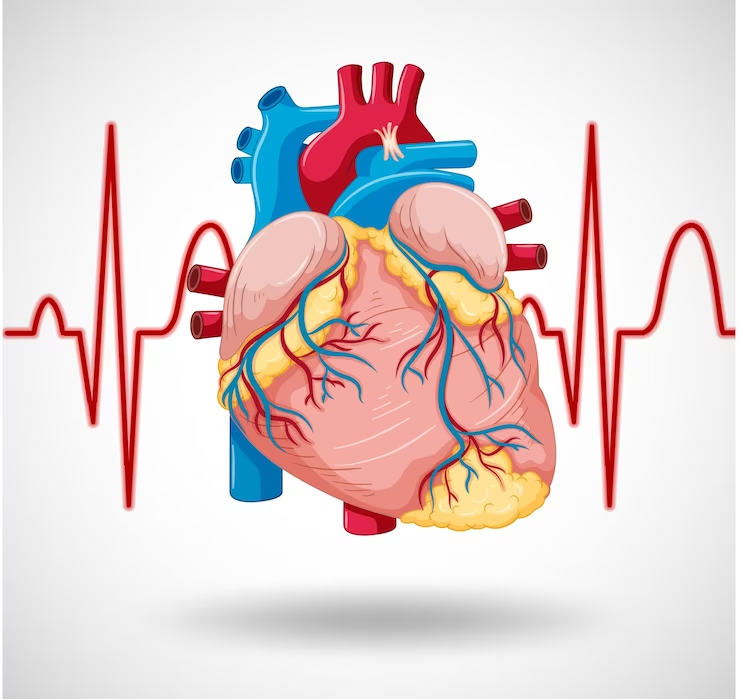 Tachycardia - Types, Cause, Symptoms, Treatment - Mobile Physio