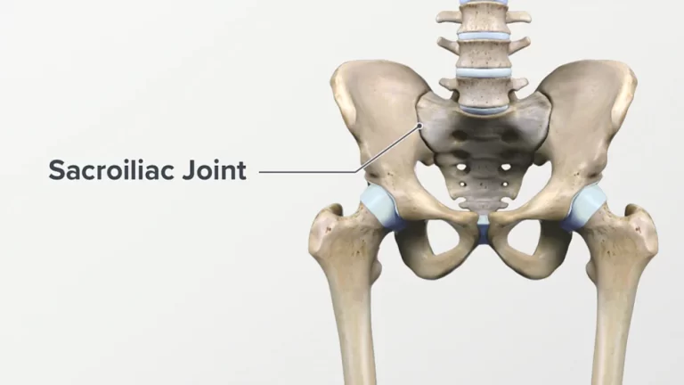 SI JOINT (Sacroiliac Joint) : Anatomy, Movement, Dysfunction, Exercise