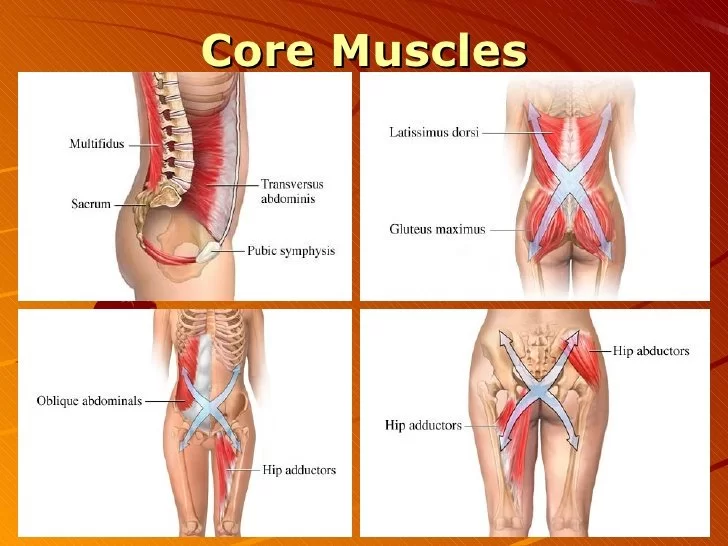 Core Muscle Repair Rehabilitation
