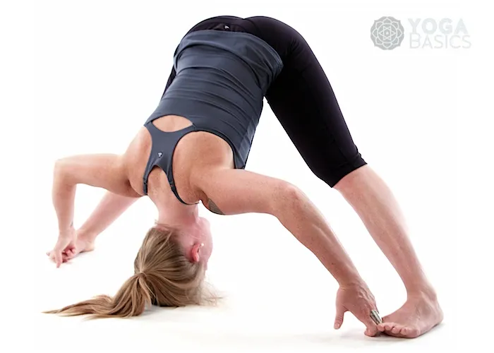 Padahastasana YM Stylie ~ stripped back posture - Yoga Matters