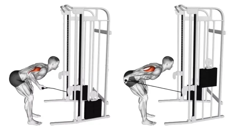 Triceps kickbacks with cables