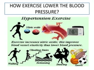 10 Best Exercises to Control High Blood Pressure