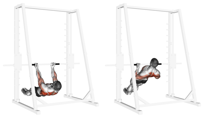 inverted-row-dips
