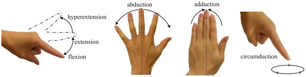 Movement of finger