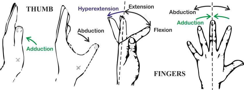 active-movements-of-thumb&fingers