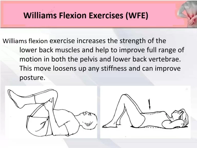 Williams Flexion Exercise (WFE)