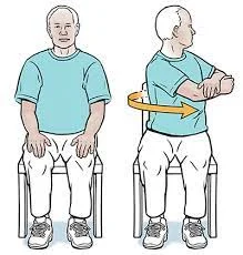 seated rotation strech