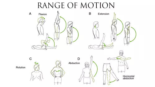 shoulder-active-movements
