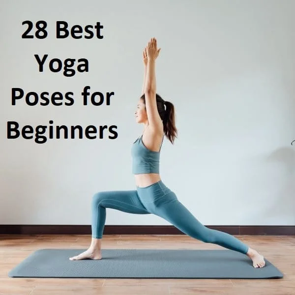 10 Top Yoga Poses for Beginners to Stay Healthy | Infographics-gemektower.com.vn