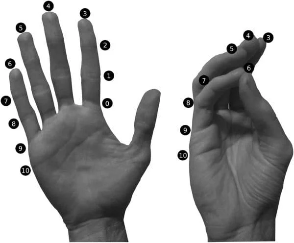 Kapandji Thumb Opposition Scores: A Comprehensive Assessment of Thumb Functionality