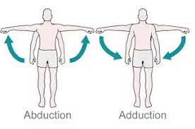 shoulder abduction adduction