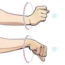 wrist-circles-range-of-motion-exercise