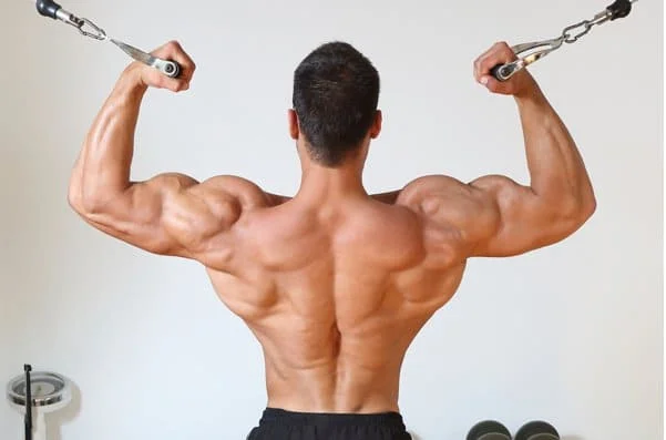 Trapezius Exercises for a Stronger, More Muscular Back