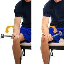 Dumbbell wrist pronation to supination