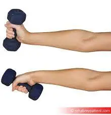Dumbbell wrist radial to ulnar deviation