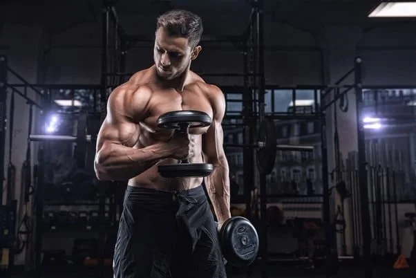 Exercises for huge arms