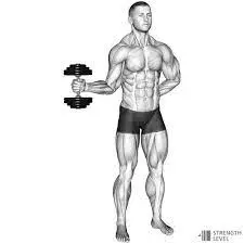 External rotation with dumbell