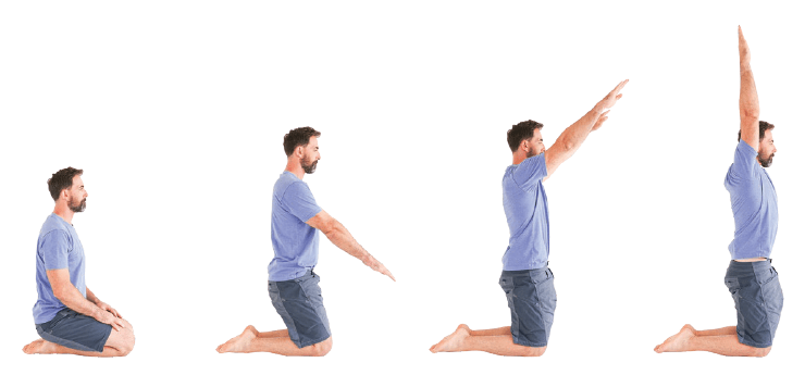 Tall Kneeling Arm Raises: Flexion of the Shoulder